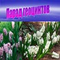 Запорожье