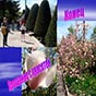 Запорожье